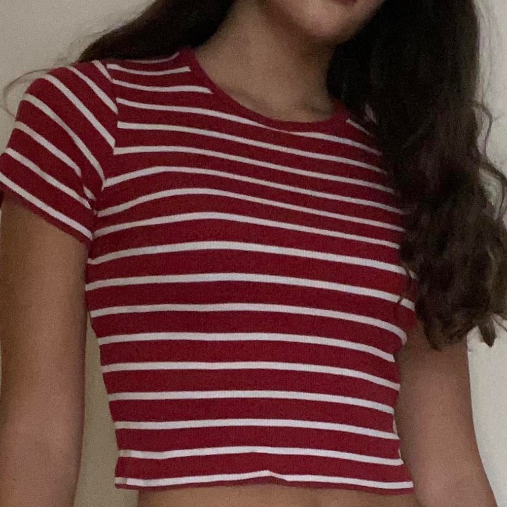 Red Brandy Melville Striped Short Sleeve Crop Top